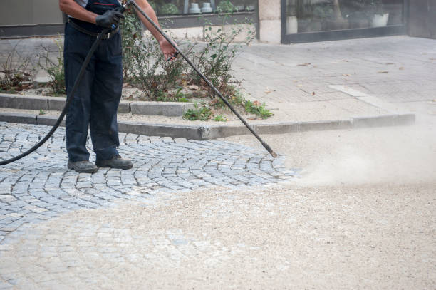 Best Winterizing Services  in Central Square, NY